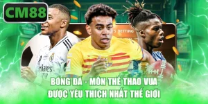 Bóng Đá - Môn Thể Thao Vua Được Yêu Thích Nhất Thế Giới