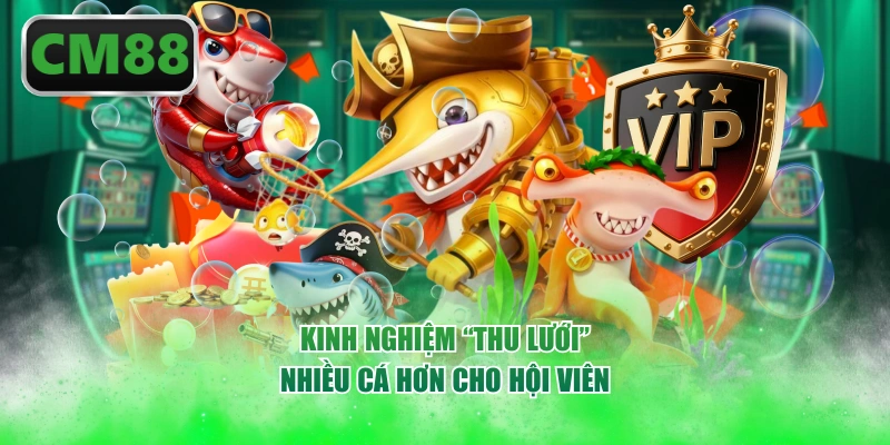 Kinh nghiệm “thu lưới” nhiều cá hơn cho hội viên