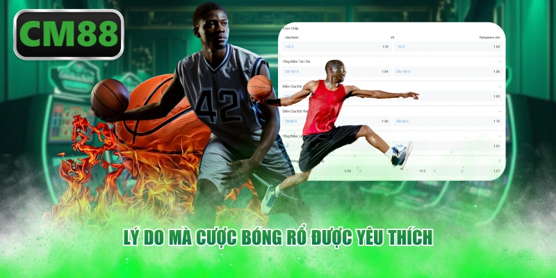 Lý do mà cược bóng rổ được yêu thích